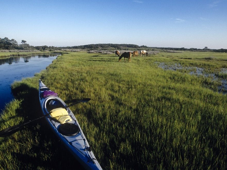 Assateague Island National Seashore