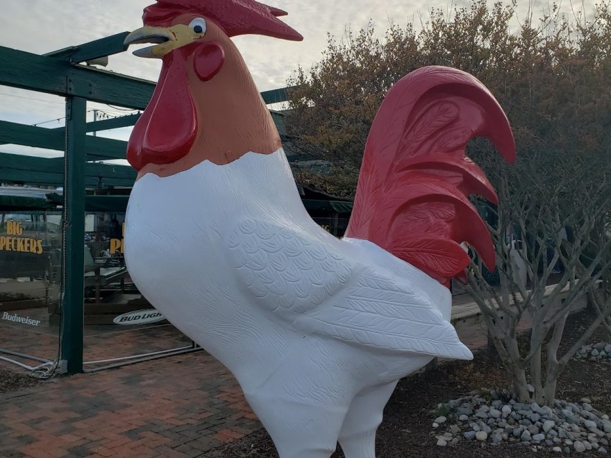 Big Pecker's Bar & Grill