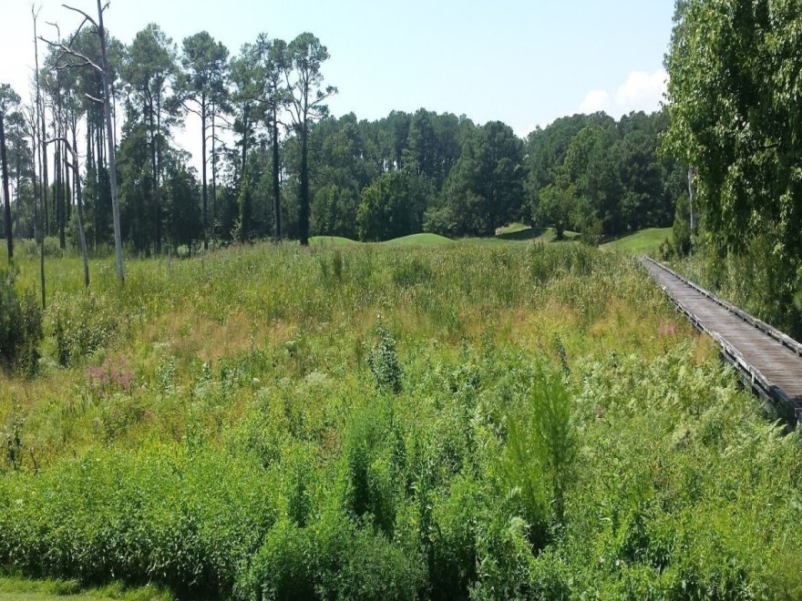 Eagle's Landing Golf Course