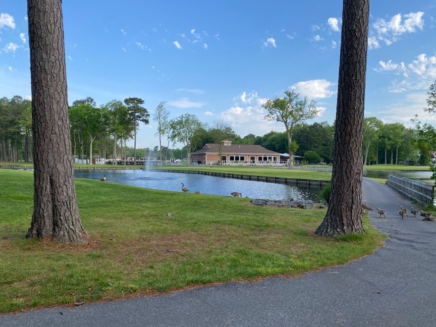 Ocean Pines Golf Club