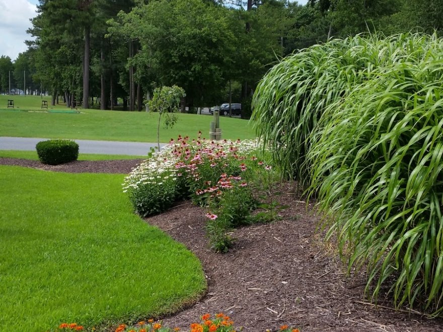 Ocean Pines Golf Club