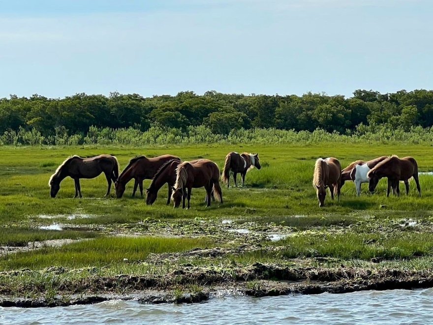 Under The Bridge Watersports - Jet Ski & Pontoon Boat Rentals