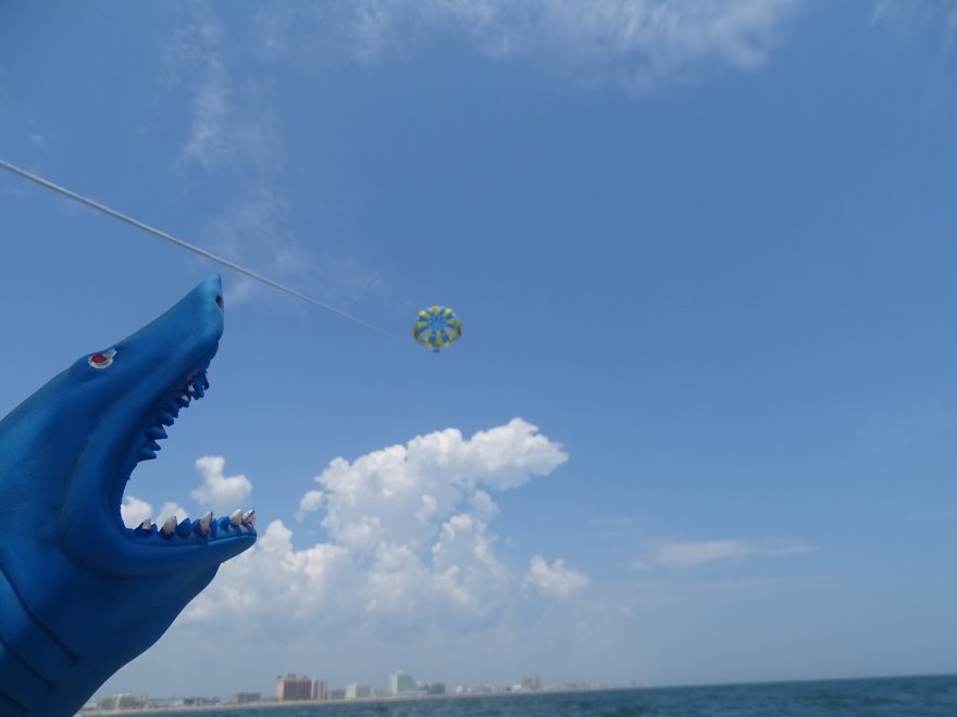 OC Parasail