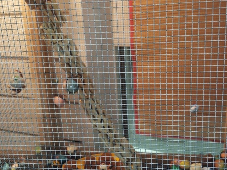 Sassy Beachwear Outlet