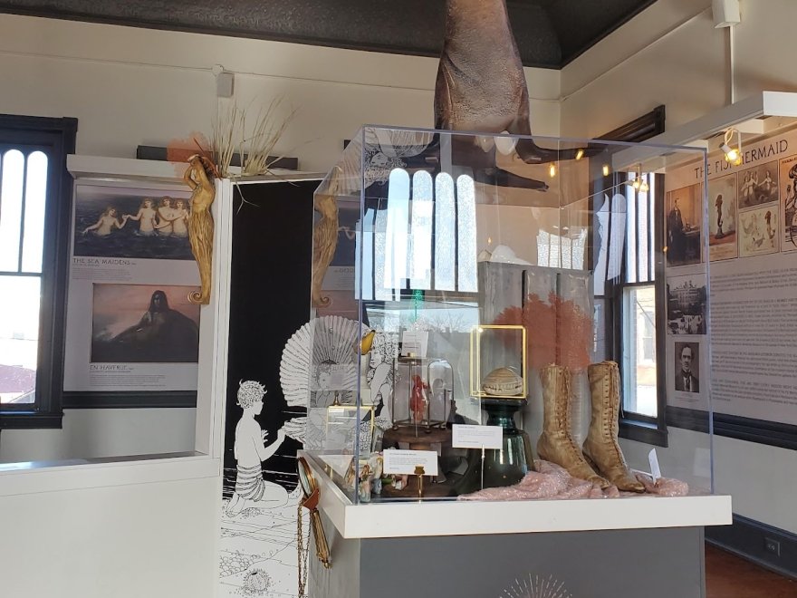 The Mermaid Museum