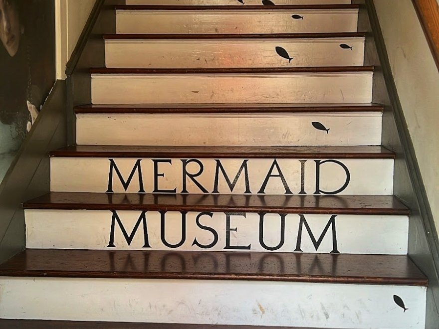 The Mermaid Museum
