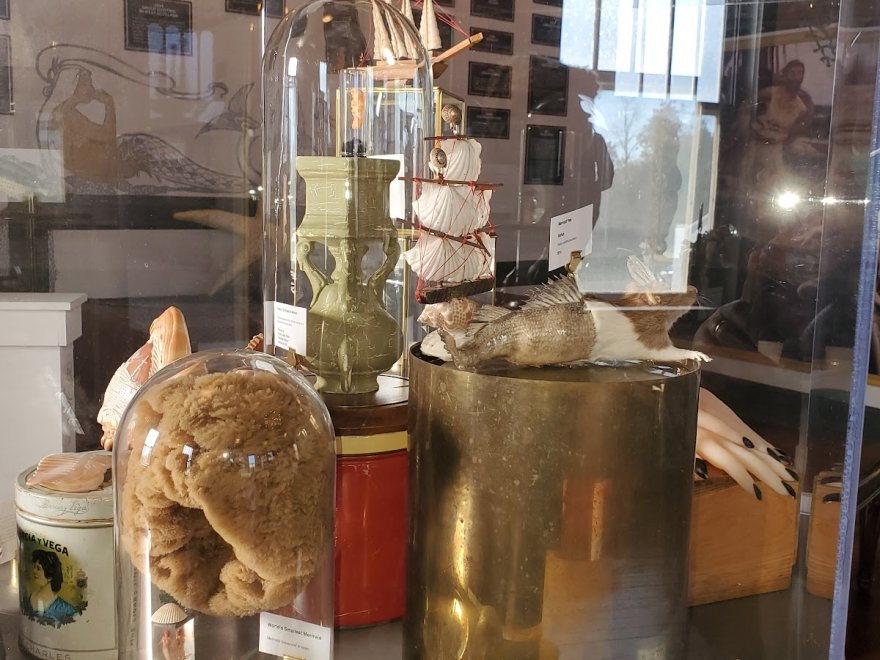 The Mermaid Museum