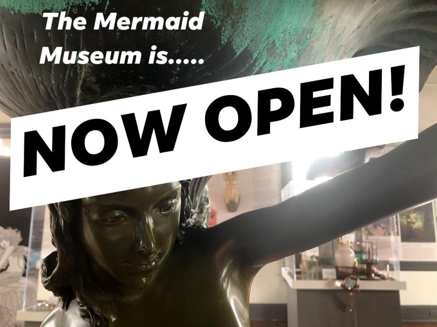 The Mermaid Museum