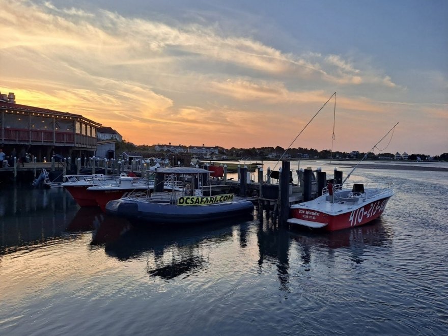 Hooper's Crab House & Sneaky Pete's