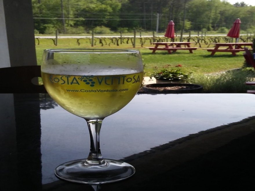 Costa Ventosa