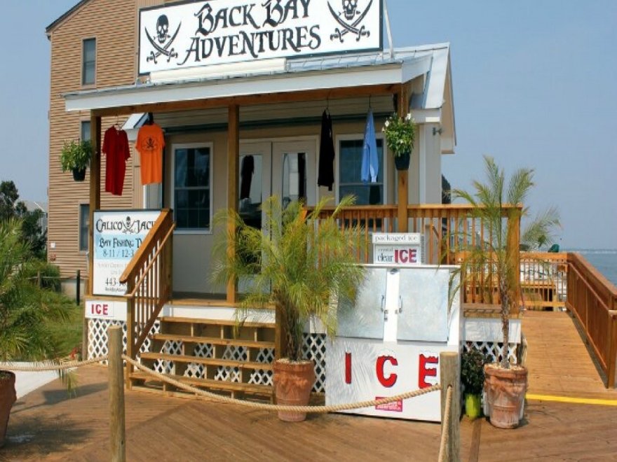 Back Bay Adventures: Jet Ski Rentals, Fishing Charters & Party Boat