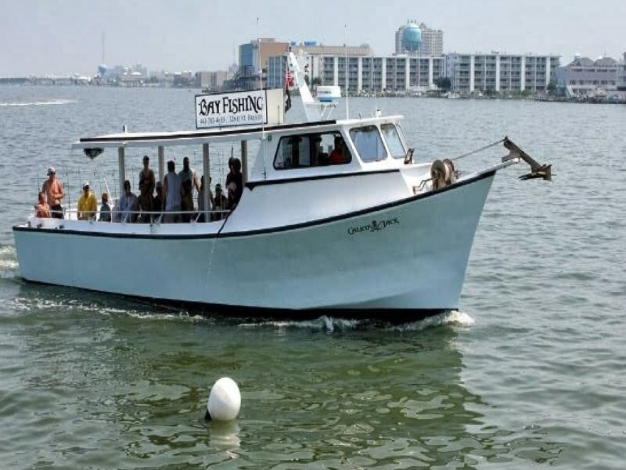 Back Bay Adventures: Jet Ski Rentals, Fishing Charters & Party Boat