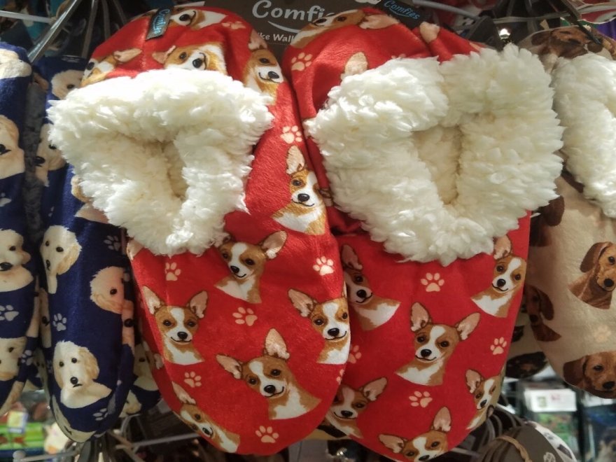 Doggie Style K9 Cafe