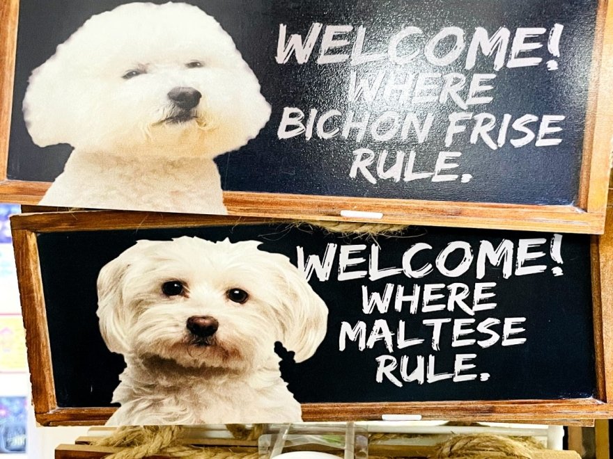 Doggie Style K9 Cafe