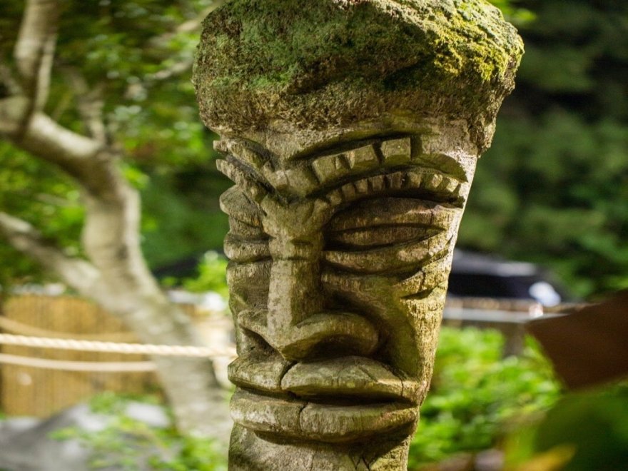 Nick's Mini Golf - Nick's Maui Golf