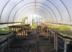 Chesterfield Heirlooms