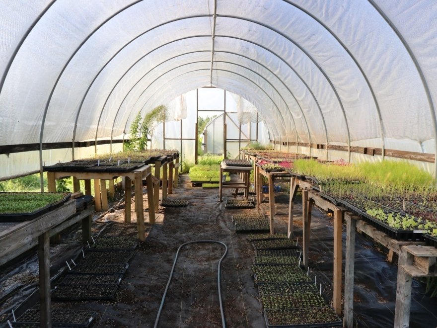 Chesterfield Heirlooms