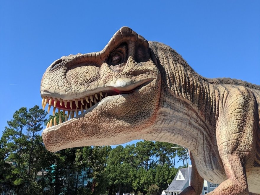 Nick's Mini Golf - Nick's Dinoland Golf