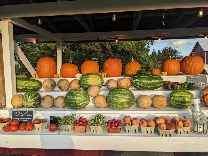 Barefoot Farm Produce