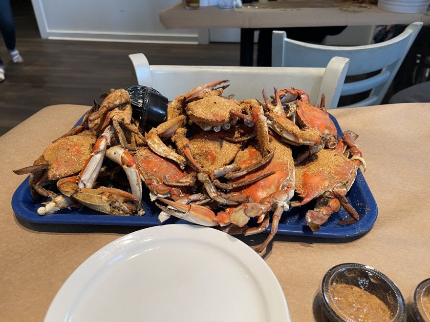 Waterman's Seafood