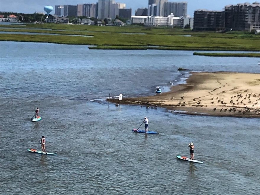 67th Street Paddle Cove