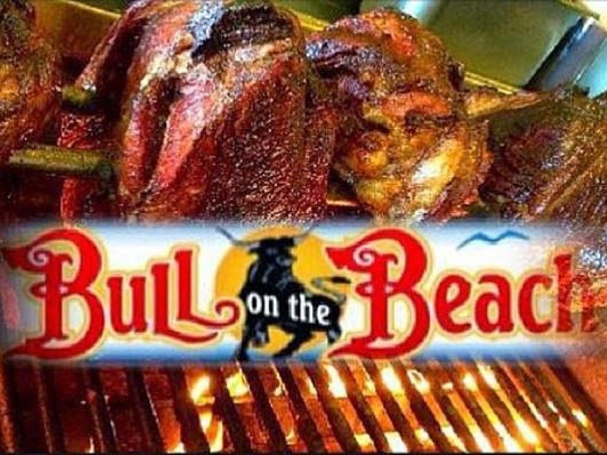 Bull on the Beach
