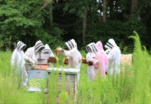 Nature, Community & Celebration: Events That Bring Maryland’s Coast to Life