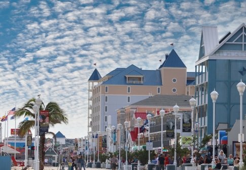 National Plan Your Vacation Day