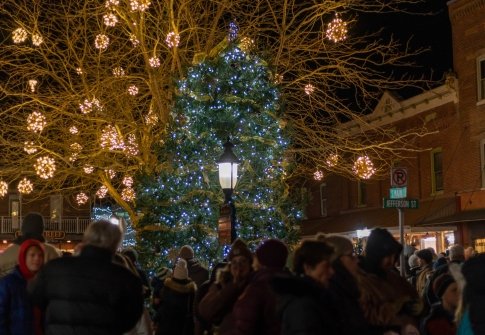 Winter Activities on Maryland’s Coast