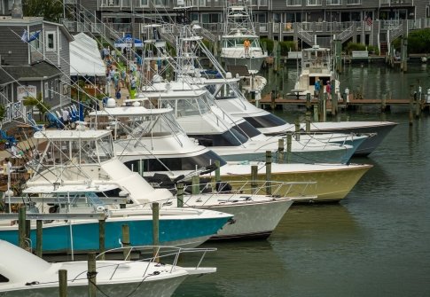 Best Ways to Watch the 2023 White Marlin Open